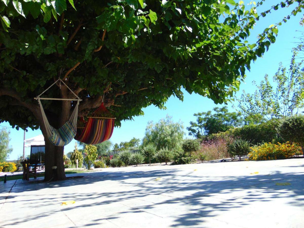 Villa Dora Faliraki Exteriér fotografie