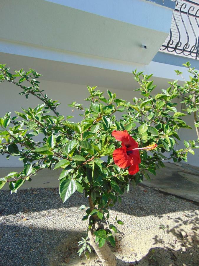 Villa Dora Faliraki Exteriér fotografie